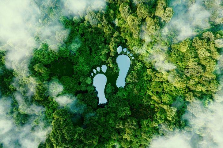 Sustainability and Standard Intern: Reducing Carbon Footprint Through Remote Work